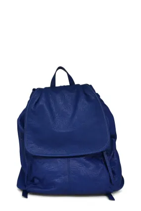 Arena Classic Traveller Backpack Blue