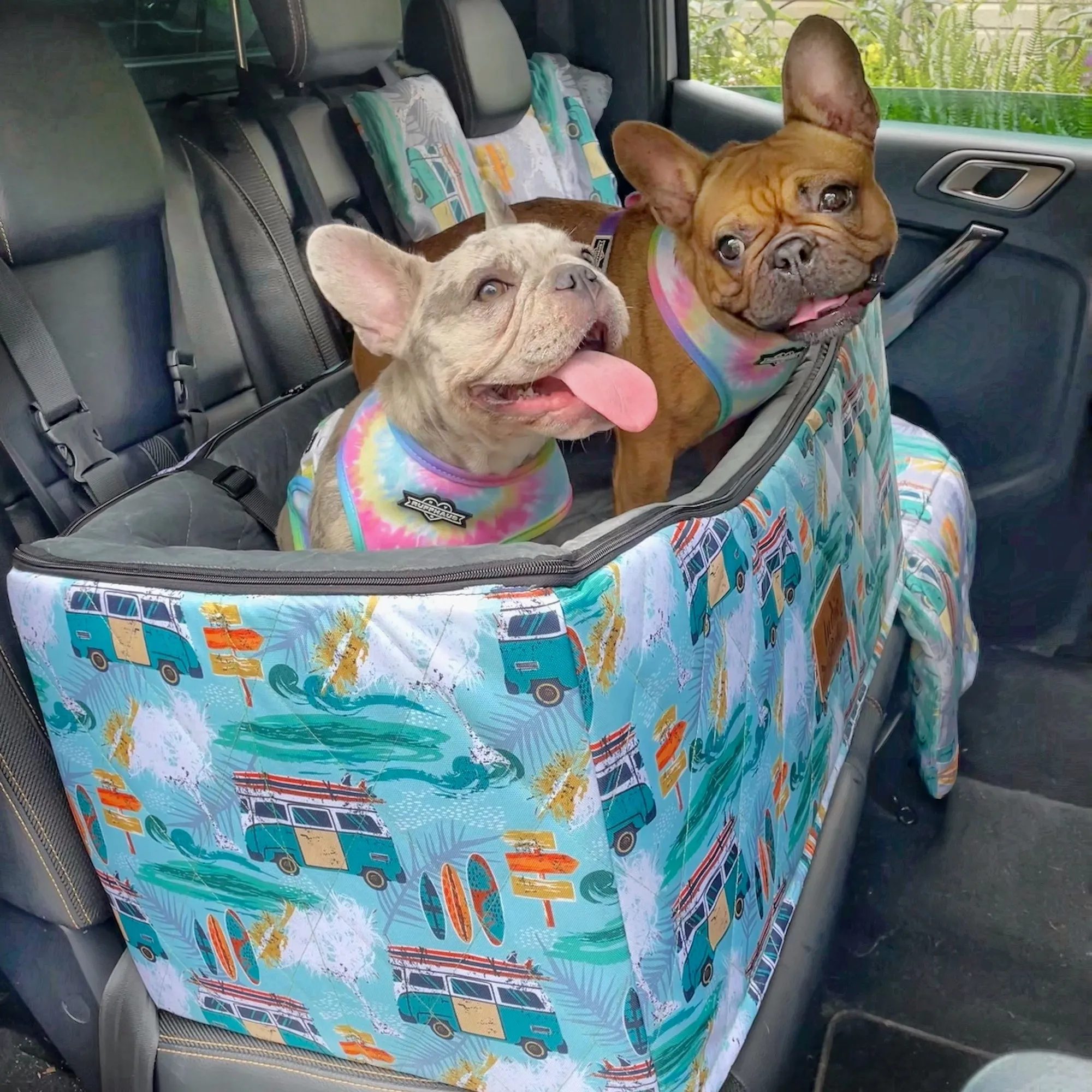 Car Pet Booster Seats DOUBLE Size - Byron Surf