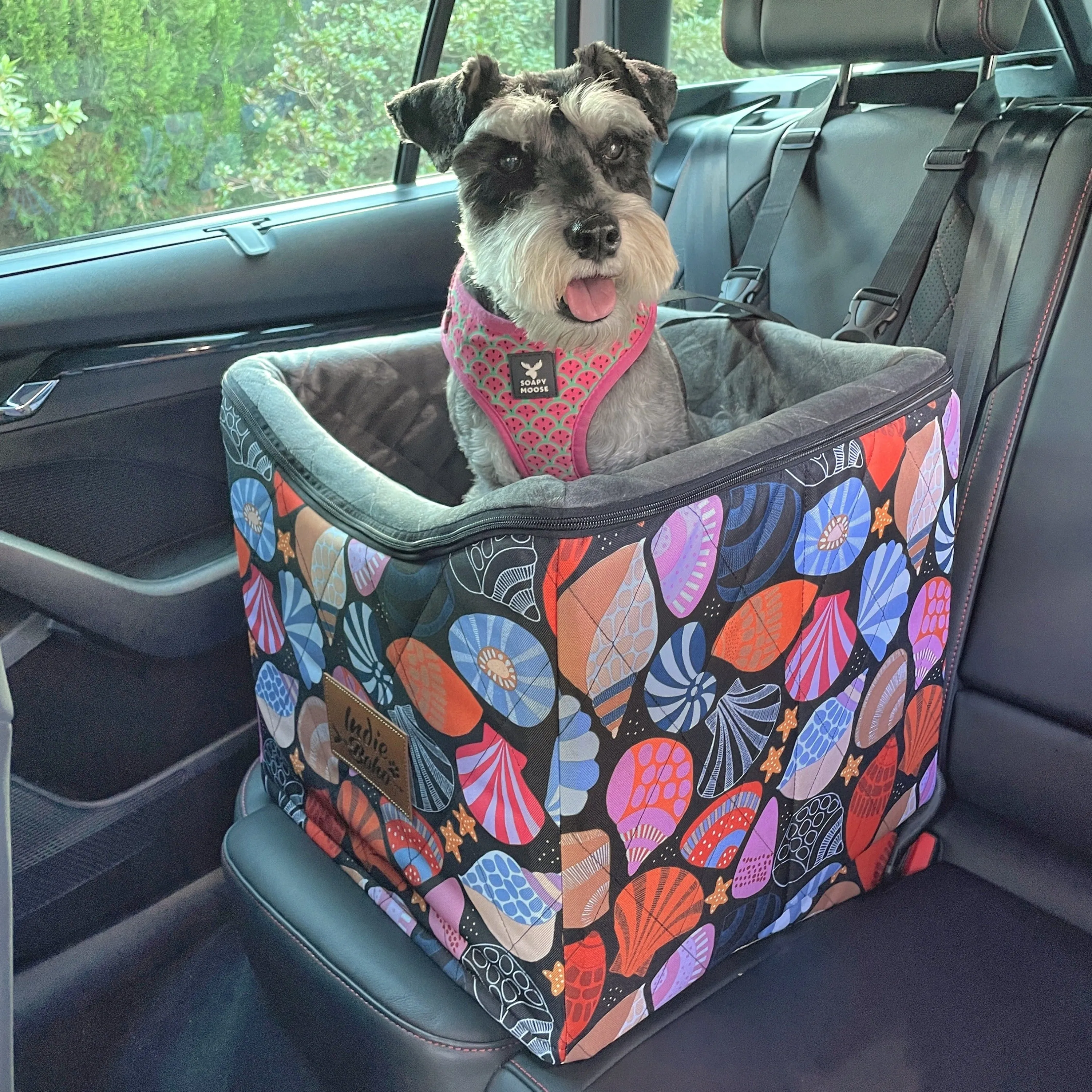 Car Pet Booster Seats SINGLE Size  - Daydream Shells