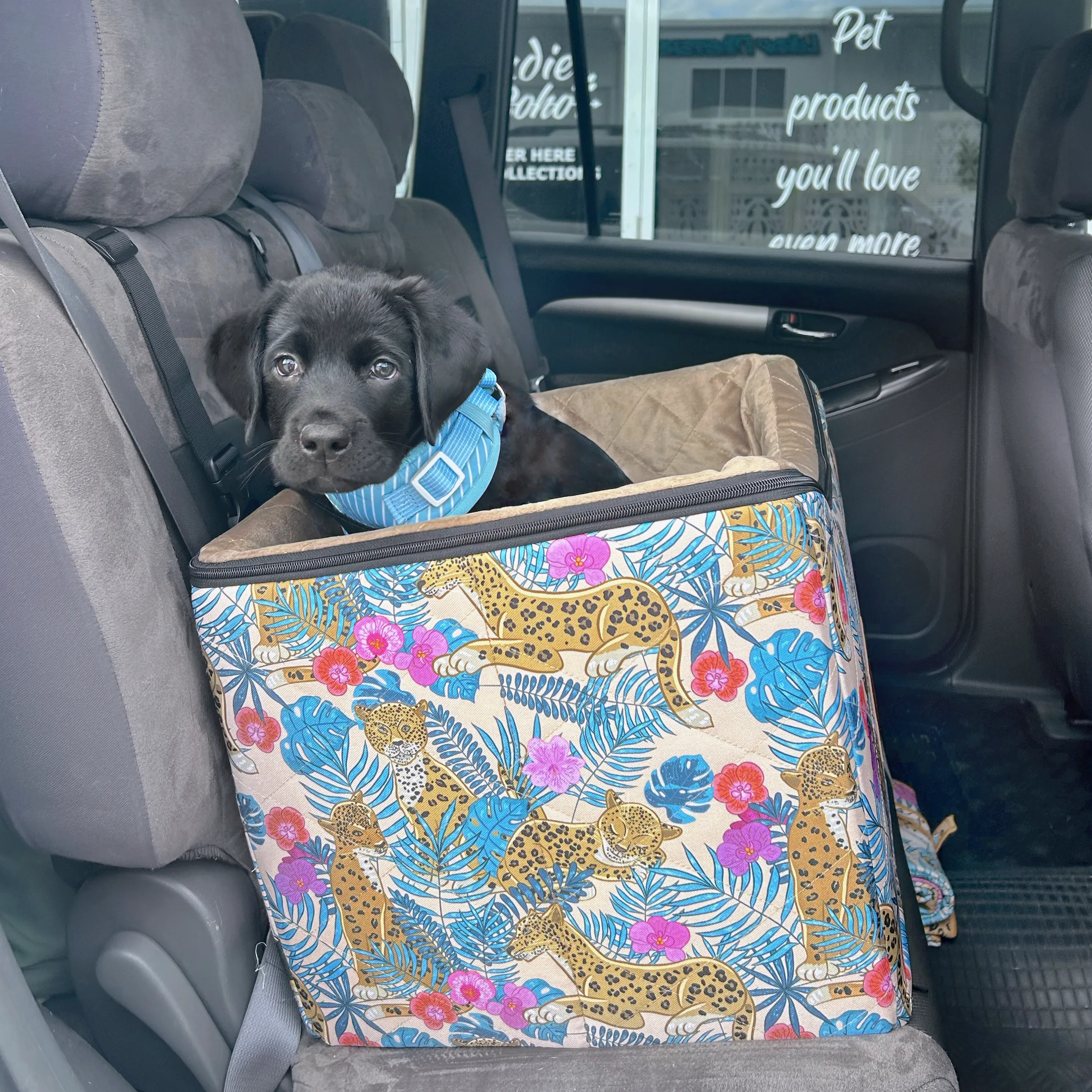 Car Pet Booster Seats SINGLE Size  - Leopard Luxe