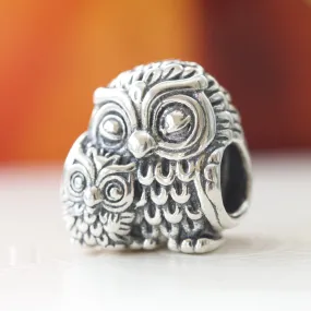 Charming Owl Charm 791966