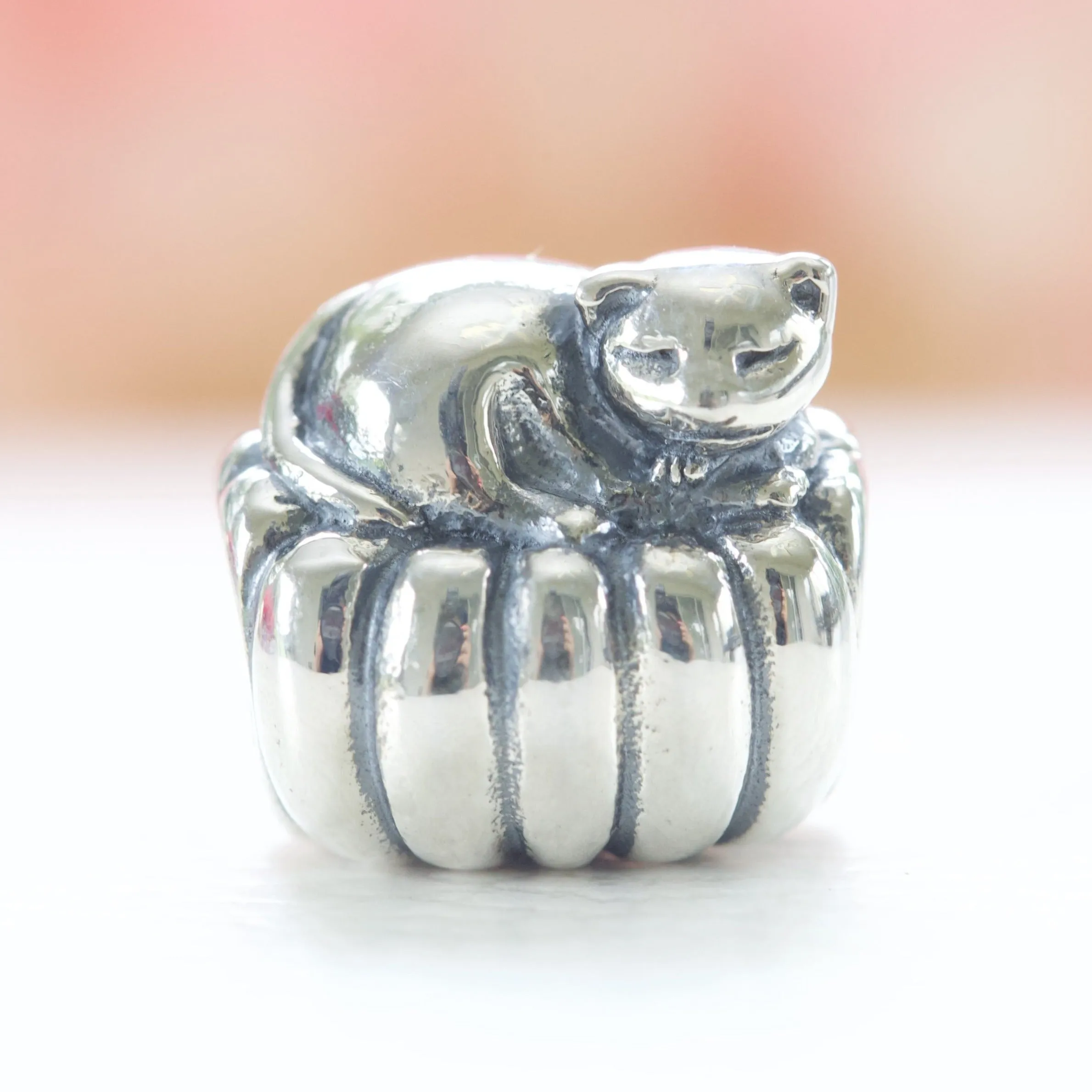 Cozy Cat Charm 790595