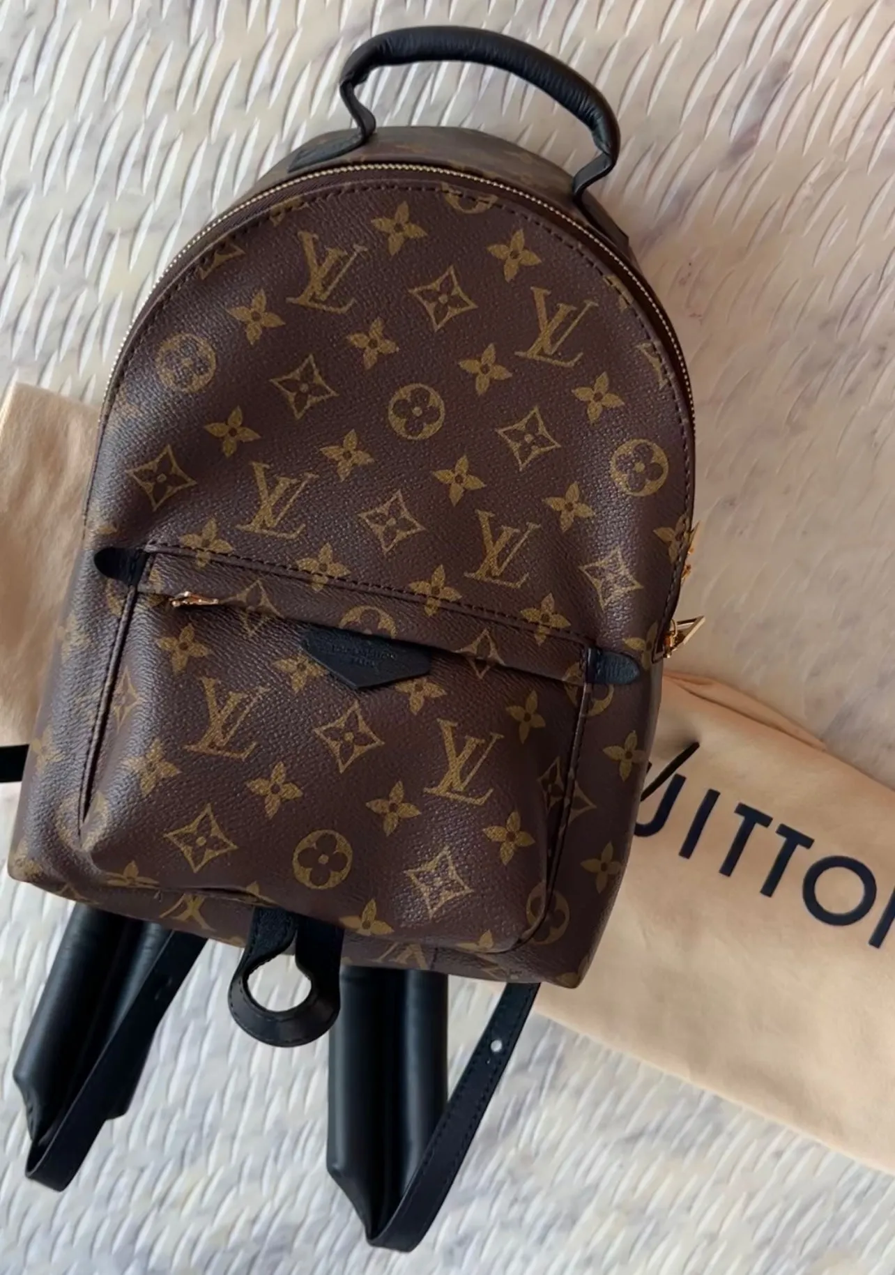 Louis Vuitton Palm Springs Backpack