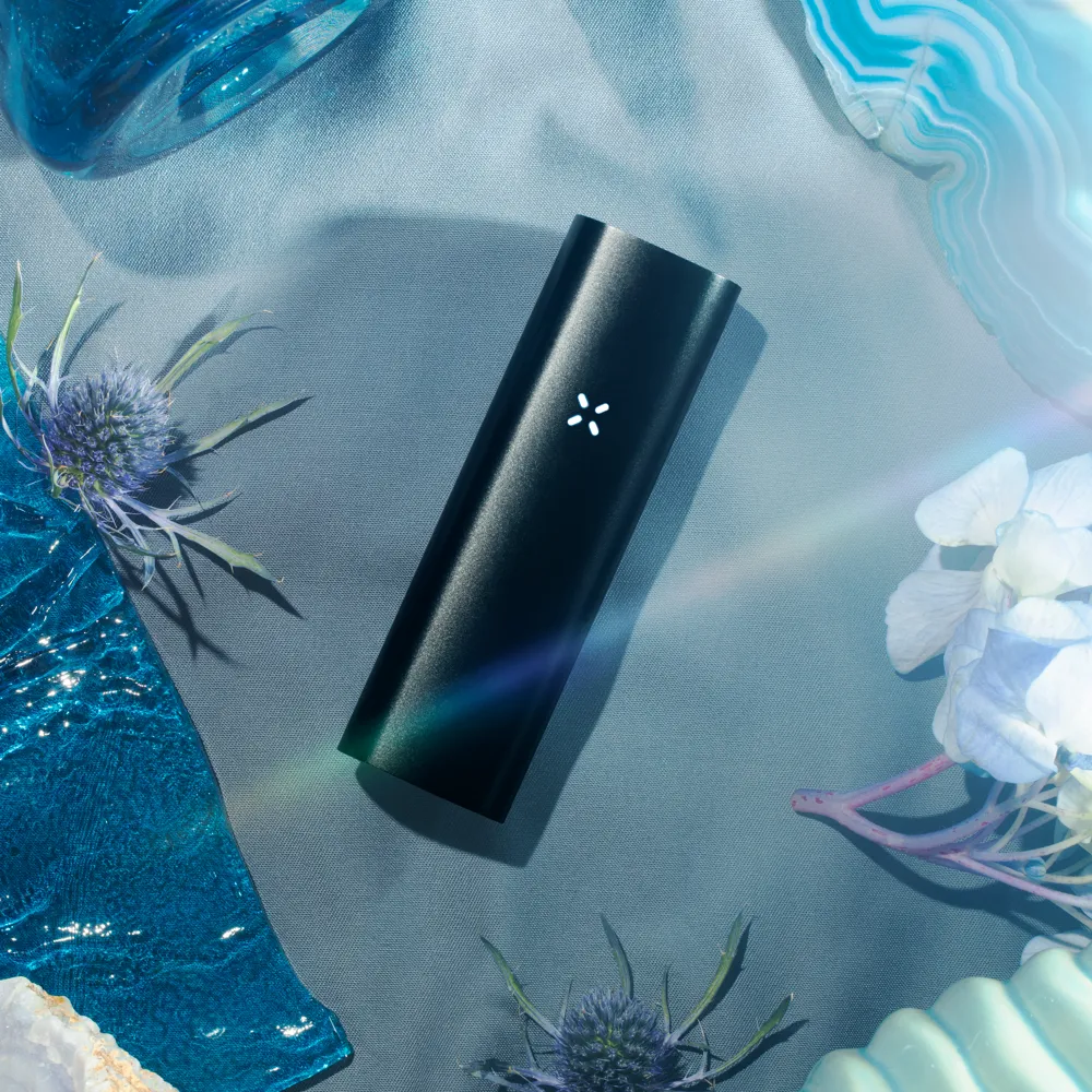 Pax 3 Basic Kit