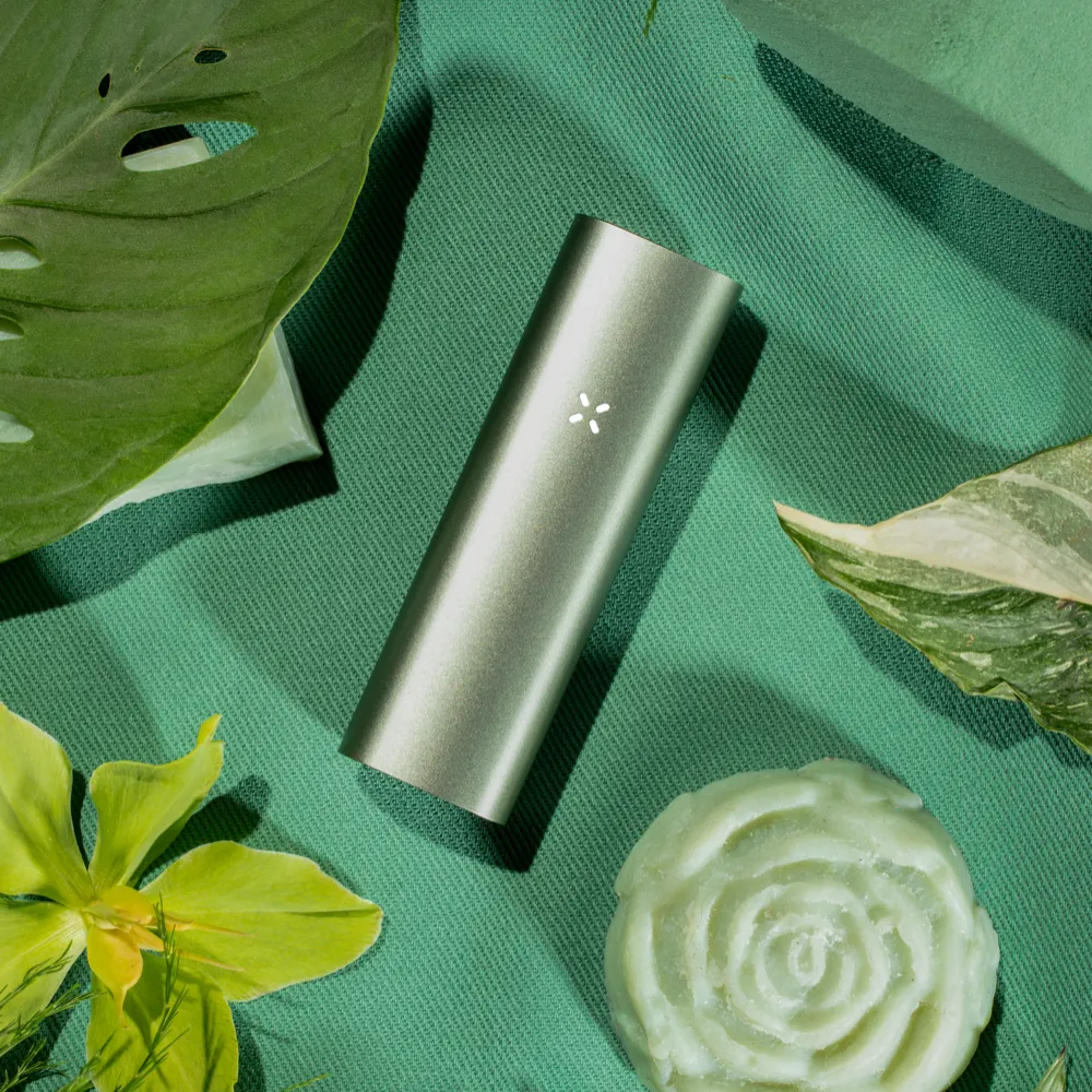 Pax 3 Basic Kit